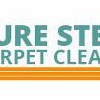 Pure Steam Carpet Cleaning