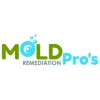 Mold Remediation Pros