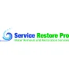 Service Restore Pro