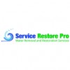 Service Restore Pro