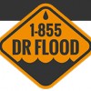 Dr Flood