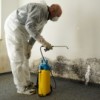 Mold Remediation Columbus