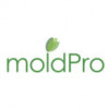 MoldPro