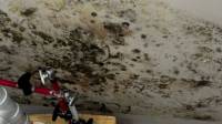 Pure Air Mold Remediation