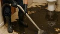 Toilet Overflow Cleanup