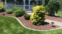 Landscaping Services | Tech LA Builder